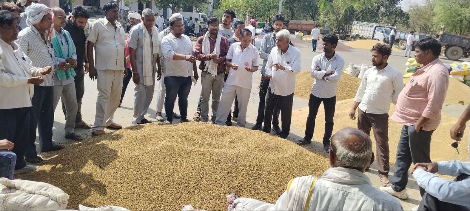 अब नए चना की आवक शुरू, मंडी में रबी फसल की तीनों जिंसों की दमक