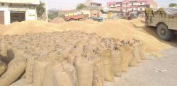 गेहूं खरीद नियमों में छूट, हजारों किसानों को होगा लाभ - image