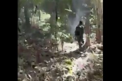 CG Naxal Encounter : छत्तीसगढ़ में नक्सल मुठभेड़ का लाइव वीडियो आया सामने - image