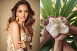 kiara advani pregnancy News