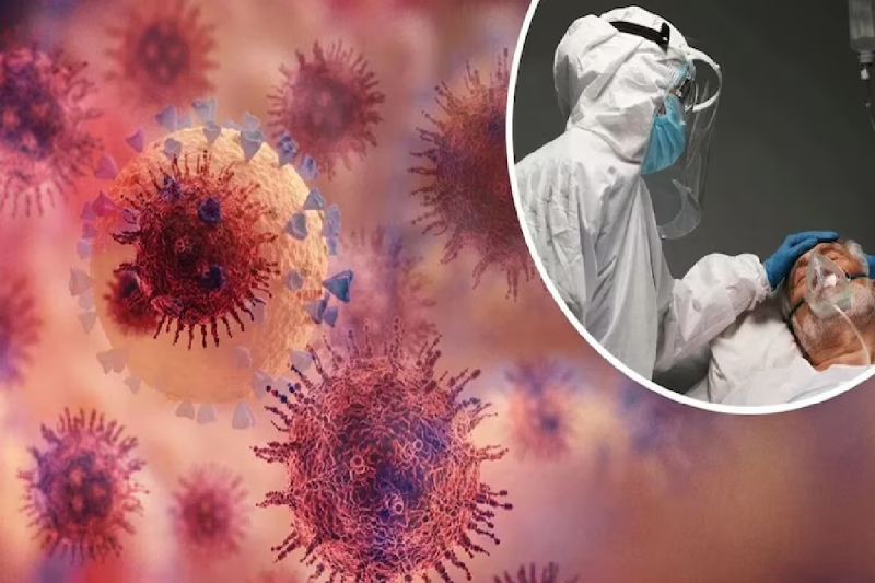 Guillain-Barré Syndrome