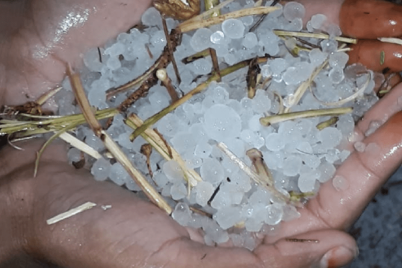 Heavy rain and hailstorm wreaking havoc in MP