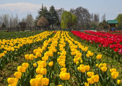 Short video poster image