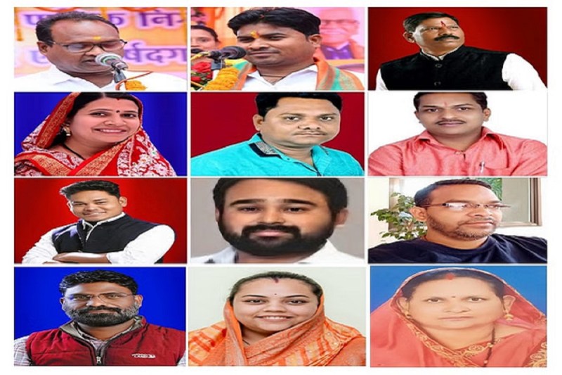 Durg MIC: महापौर ने किया मेयर इन काउंसिल का गठन, 12 पार्षदों को मिली जगह, देखें नाम