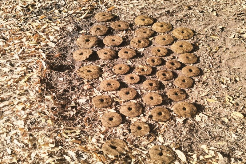 घर-घर भोजन के लिए आग पहुुंचाने बनाए गए उपले