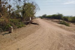 आजादी के 78 साल बाद पलेरा जनपद पंचायत के आलापुर गांव को मिलेगी सडक़ - image