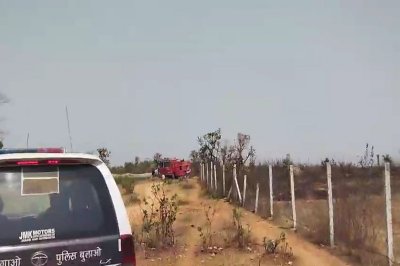 रमन्ना जंगल में लगी आग