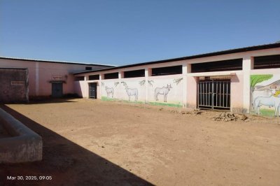 खाली पड़ी गोशालाएं।