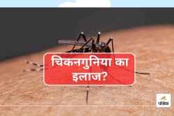 HIV की दवा से मिलेगा Chikungunya का इलाज, IIT रुड़की की बड़ी खोज - image