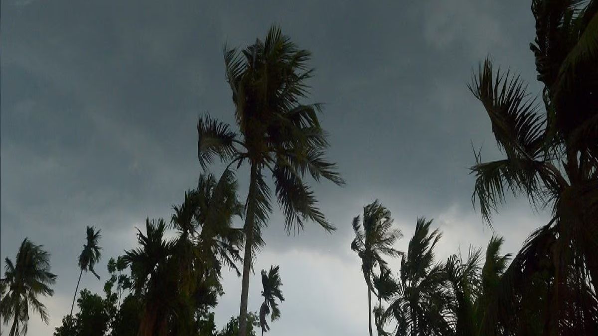 26,27, 28 जनवरी को कैसा रहेगा यूपी का मौसम? 20 से 30 किमी/घंटे की रफ्तार से
चलेंगी हवाएं, देखें IMD का पूर्वानुमान