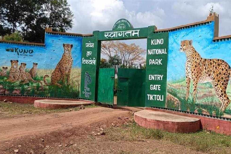 10000 years petroglyphs found in Kuno Wildlife Sanctuary of sheopur in mp