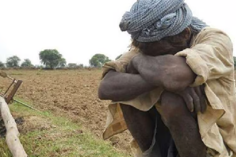 administration has taken a tough stand on wheat procurement in Rajgarh mp