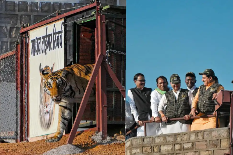 Tourists will be able to enjoy safari vehicles and cafeteria in Madhav National Park in shivpuri