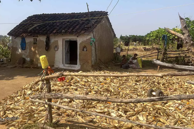 Tribals land is being usurped by various tactics in ashoknagar mp which is been intervened by high court