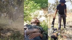 Crime in Amroha: चोरी के आरोप में युवक को आम के बाग में घसीटकर पीटा, बर्बरता की
हदें पार, पुलिस कर रही जांच - image