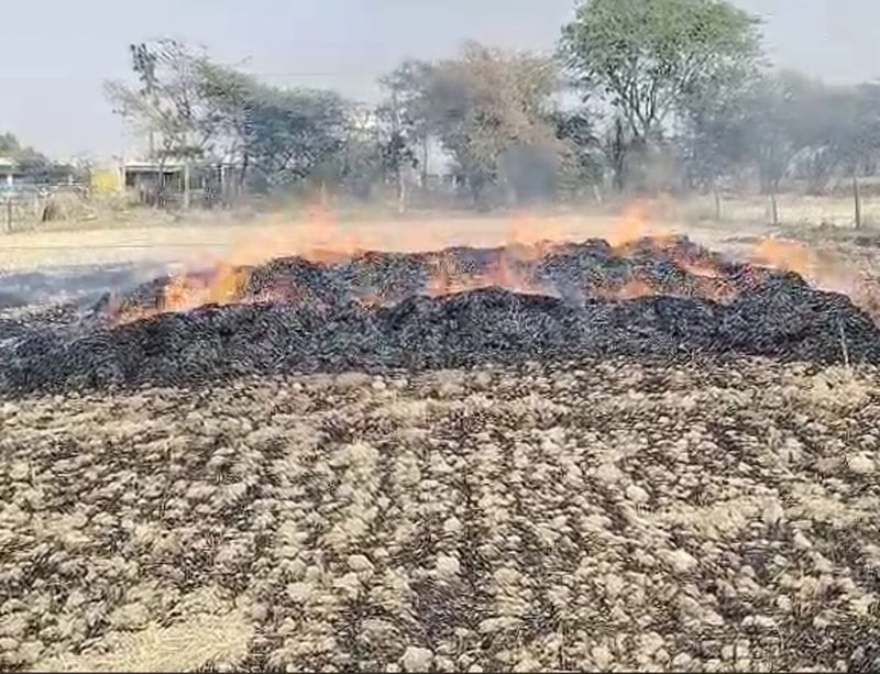 डेढ़ सौ बीघा गेहूं की फसल में आग लगी, 40 लाख का नुकसान