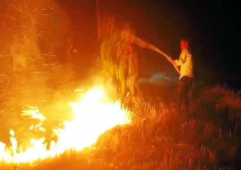 आए दिन खेतों में हो रही आगजनी की घटनाओं से पशुपालक भी गहरे सदमे में हैं। उन्हें अभी से ही आगजनी की घटनाओं को देखते हुए पशु चारे की चिंता सताने लगी है।