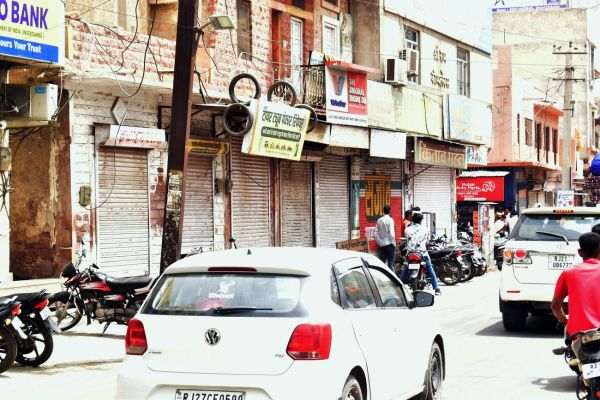 Nagaur city echoed with slogans of 'Enact tree protection law'