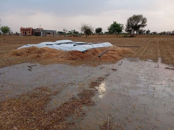 Stormy rain with hail, blanket of hail, see pictures
