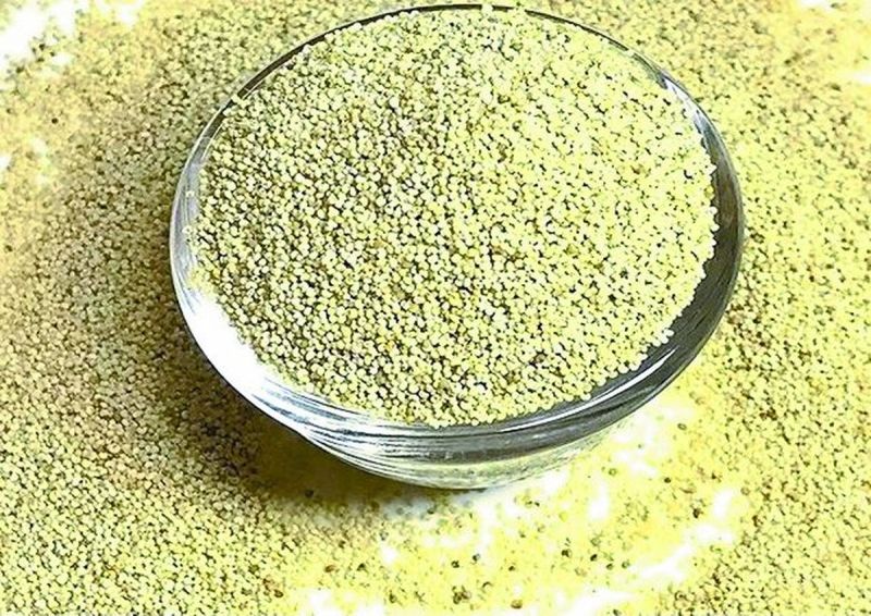 अगर तुर्की से पोस्ता दाना का आयात होता है तो भावों में गिरावट की संभावना बन सकती है। पिछले वर्षों में भी तुर्की से माल आने के कारण पोस्तादाना भावों में काफी गिरावट आई थी।