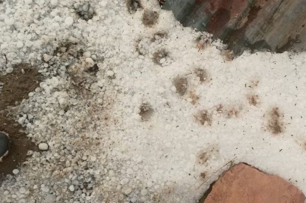 Stormy rain with hail, blanket of hail, see pictures