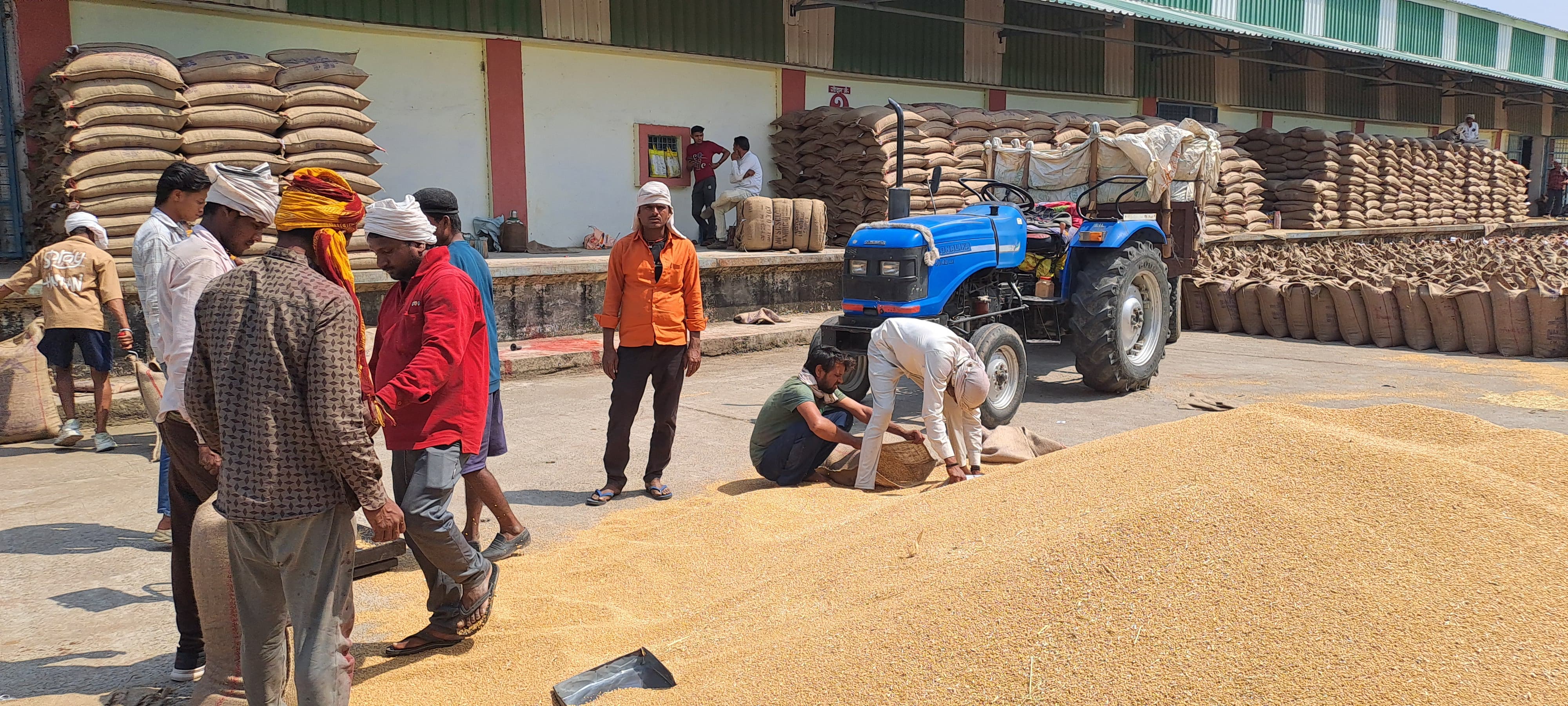 First they are taking 800 grams more wheat in the weighing, then the porters are cleaning and keeping several kilos of grains