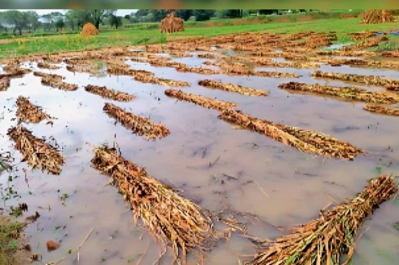 Uttar Pradesh weather