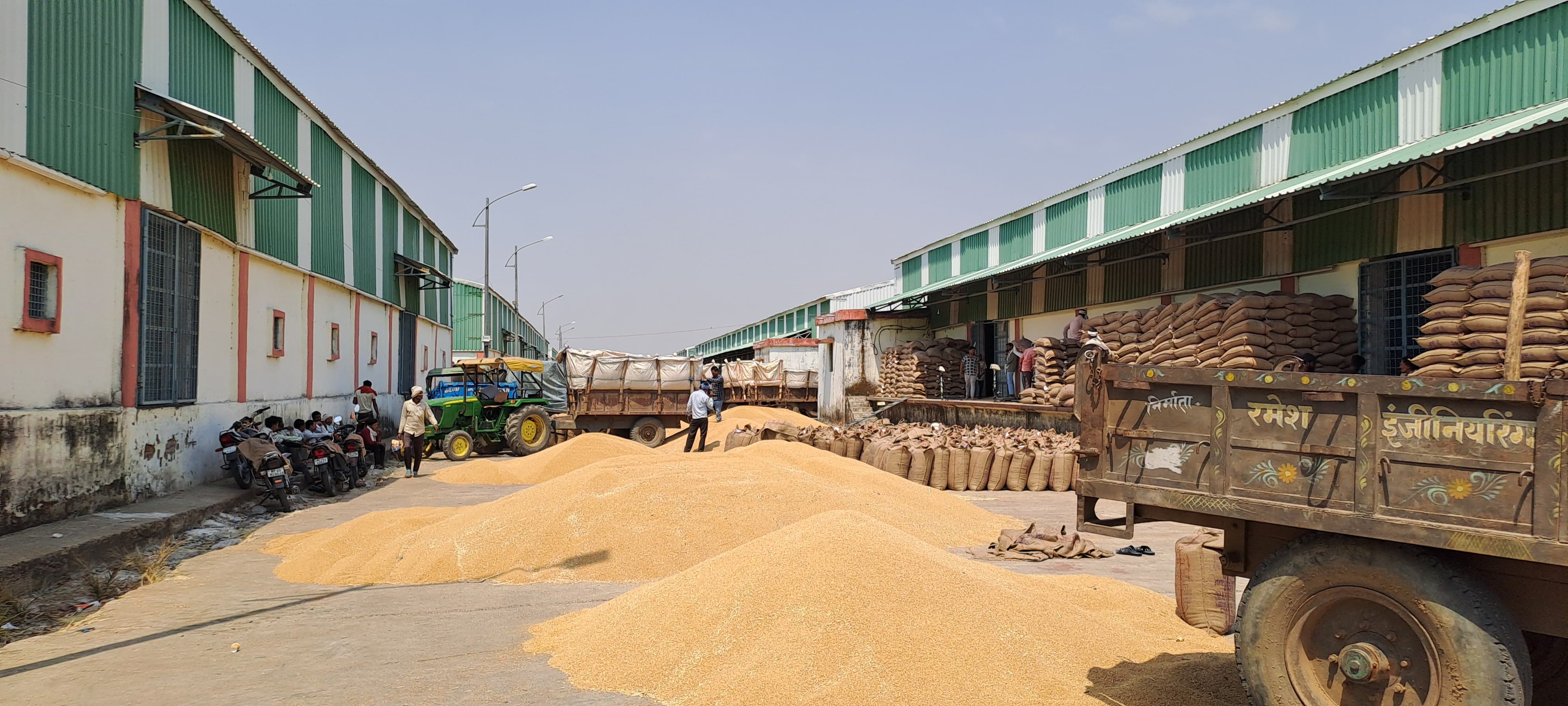 60 thousand quintals of wheat have been purchased in thirteen days, 11 committees are purchasing