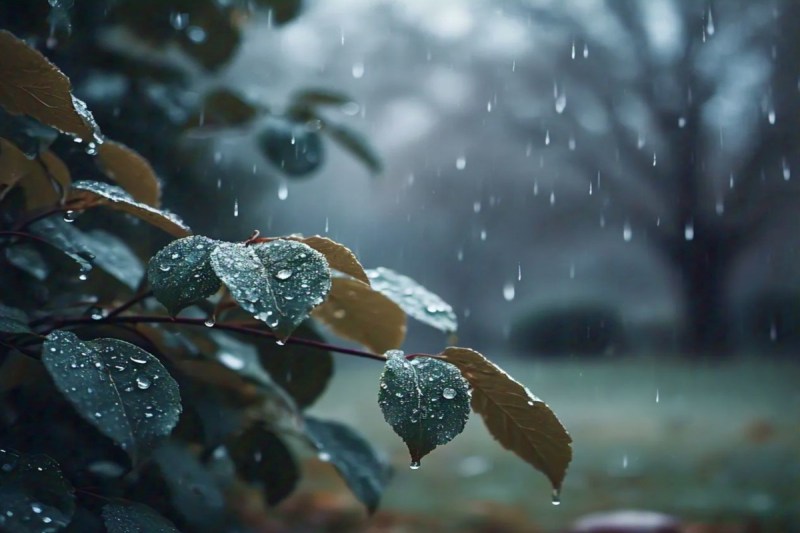 18-19 अप्रैल को गरज-चमक के साथ बारिश की संभावना, इस बार सामान्य से बेहतर रहेगा मानसून; खेती के लिए राहत की खबर