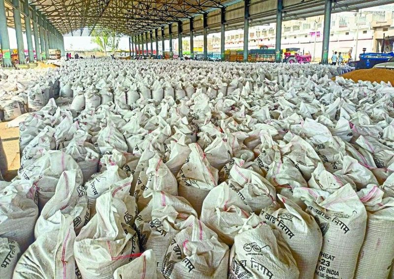 बारां खरीद केन्द्र पर 16 अप्रेल तक करीब 86 हजार 47 कट्टे, सीसवाली में 81 हजार 280, मांगरोल में 77 हजार 773, छबड़ा में 76 हजार 465 तथा अटरु में 39 हजार 656 कट्टे गेहूं की खरीद की गई है।