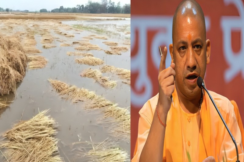 तेज आंधी, बारिश, ओलावृष्टि और वज्रपात से प्रभावित जिलों में अधिकारी करेंगे सर्वेक्षण, घायलों को तत्काल उपचार और किसानों को मिलेगा मुआवजा