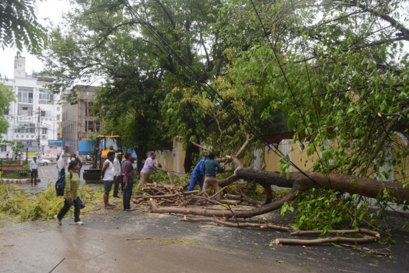 अचानक बदले मौसम ने मचाई तबाही, अयोध्या, बाराबंकी, बस्ती, देवरिया में भारी नुकसान, पेड़ और पोल गिरने से जनजीवन अस्त-व्यस्त