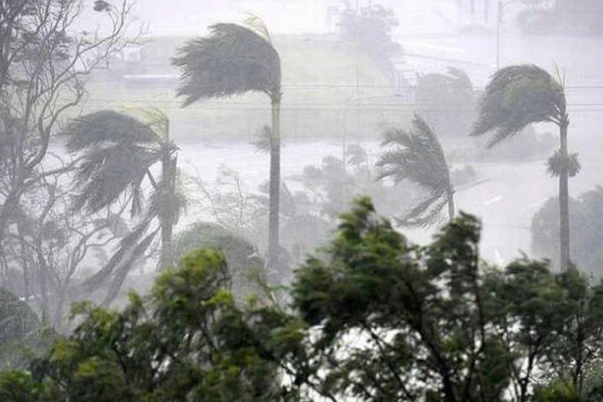 UP Rains