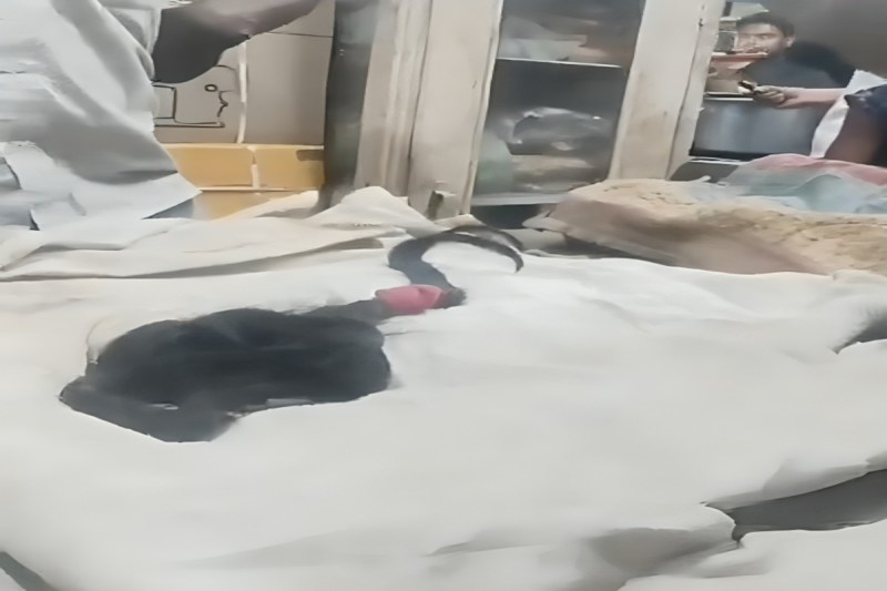 सांडी कस्बे में महिला के साथ हैवानियत, पति ने साथियों संग घर में घुसकर की मारपीट, बाल काटने का वीडियो हुआ वायरल