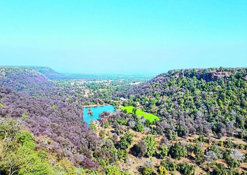 पर्यावरण संरक्षण को लेकर संवदेनहीनता बरतने से जीव जगत को काफी नुकसान हो रहा है। पेड़ों की अंधाधुंध कटाई, प्रदूषण, प्लास्टिक का अत्यधिक उपयोग और दूषित जल स्रोत हमारी धरती के लिए खतरा बन चुके हैं।