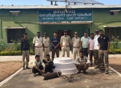 क्लच वायर से फंदा लगाकर चीतल का शिकार, 3 गिरफ्तार - image