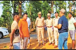 CG News: खाद्य विभाग की बड़ी कार्रवाई, 700 बोरा अवैध सरकारी धान पर कसा शिकंजा,
रजा राइस मिल जा रहा था ट्रक - image