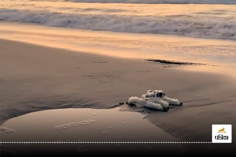 3D Printed Robot Walks Without Electronics Cost Rs 1712