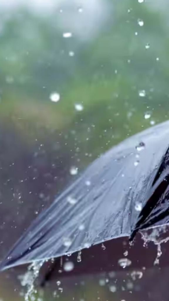 Weather Update: बारिश और तेज हवाओं का अलर्ट, इस दिन से शुरू होगी गर्मी का भीषण दौर