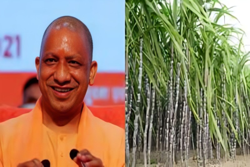 यूपी को वन ट्रिलियन इकोनॉमी बनाने में गन्ना विकास विभाग देगा 1.41 लाख करोड़ रुपए का योगदान