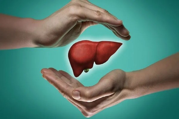 World Liver Day: शराब ही नहीं, लिवर को खराब कर रही हैं ये आदतें, तुरंत कर लें सुधार नहीं तो… जानें डॉक्टर की सलाह