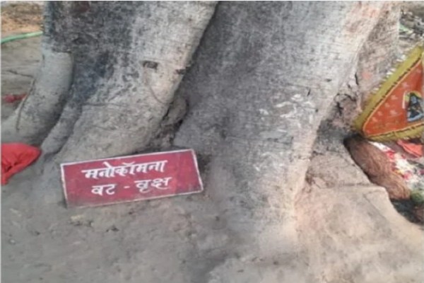 छत्तीसगढ़ के इस चमत्कारी बालाजी मंदिर में पूरी होती है हर मनोकामना, बागेश्वर धाम के धीरेंद्र शास्त्री ने बताई थी महिमा, जानें