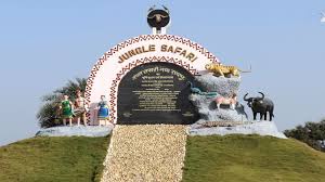 
Jungal Safari: जंगल सफारी में नया मेहमान, उद्योगपति अंबानी के जू से रायपुर आया जेब्रा, देखें 