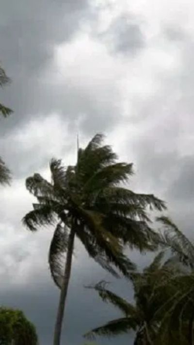 Short video poster image