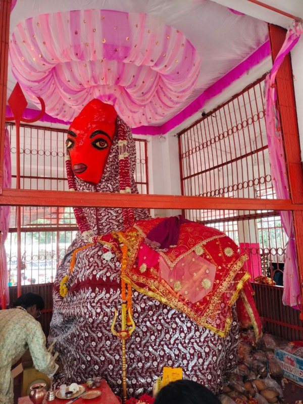 CG News: मां चंडी मंदिर में भालुओं की अनोखी भक्ति, देखें तस्वीरें