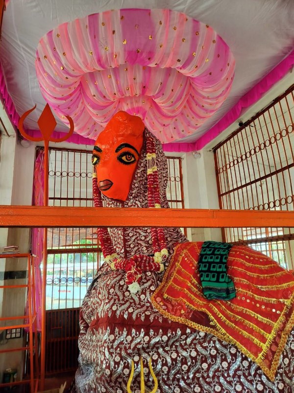 CG News: मां चंडी मंदिर में भालुओं की अनोखी भक्ति, देखें तस्वीरें