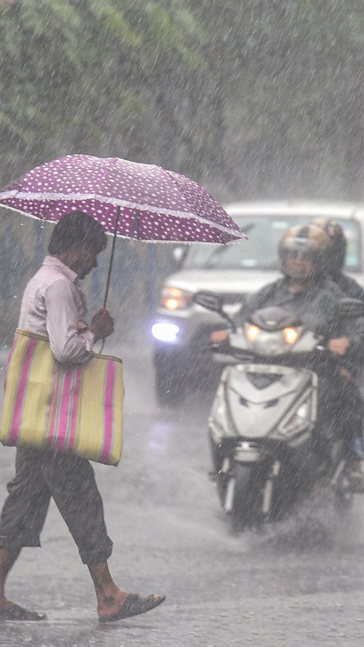 प्रदेश के इन 18 जिलों में गरज-चमक के साथ होगी बारिश, IMD का येलो व ऑरेंज अलर्ट जारी