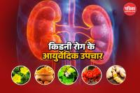 Ayurvedic Herbs For Kidney Disease