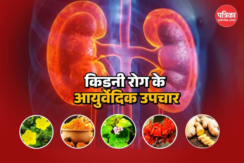Ayurvedic Herbs For Kidney Disease