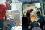 Bear Attack on Old Man